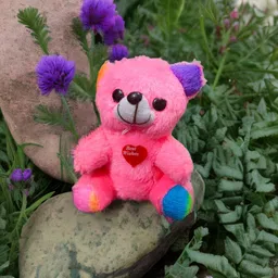 pnv toys Pink Teddy Bear with Heart, Rainbow Paws, Plush Stuffed Animal Toy for Kids- 20 cm-picture-41