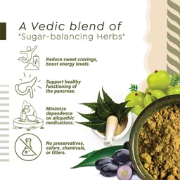 dawn lee Sugar Away Diabetes Care Supplement Powder Sugar Balancing Herbal Drink Mix image 4