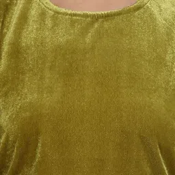 Mayra Round Neck Velvet Crop Top image 2