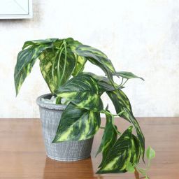 foliyaj Money Multicolour Plastic & Polyester Artificial Plant With Pot-picture-9