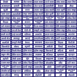 shubhfly 4 cm Masala Sticker 160 Hindi Name for Kitchen Containers/Pantry Blue Colour Labels Self Adhesive Sticker-picture-19