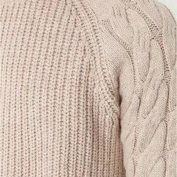 Trendyol Men Beige Solid Pullover Sweater image 4