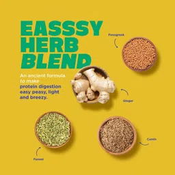 yogabar Protien powder plant based Chocolate flavour 500g Plant-Based Protein image 4