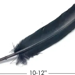 mighty Pack of 10 Decorative Feathers image 2