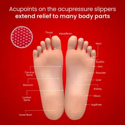 dr. ortho Accupressure Women Slippers image 2