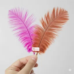 chayanvi Pack of 100 Decorative Feathers-picture-16