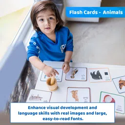 brainy bear Montessori Educational Toys– Brain & Skill Develop Activity for Kids 17 Months image 4