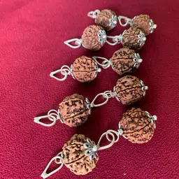 rudraksham 6 Mukhi Nepali Rudraksha Pendant With Certificate Of Authenticity (Set of 10) Silver Brass Locket Set-picture-24