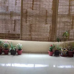 tclpvc Roller Blind Hand Drawn On Ceiling-picture-30