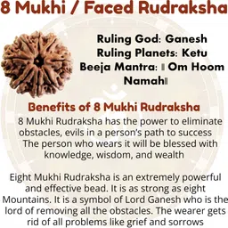 kuttumb gems & jewels 100% Lab Certified Original&Natural 8 Mukhi indonesian Rudraksha Pendant Gold-plated Brass Pendant image 4