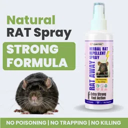prettybuyers Herbal Rat Repellent Spray For Home & Office | Effective Rodent Spray image 2