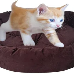 slatters be royal store Velvet Luxury Washable DOG Sofa Bed For All Season Sleeping CatPuppy XXL Pet Bed image 2
