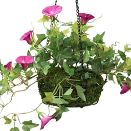 casacraft from pepperfry Purple Polyester Artificial Morning Glory Hanging Creeper Plant with Hanging Metal Stand image 4