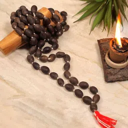Kamal Gatta Mala-image-0