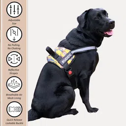 alcazar Dog Harness & Leash image 2
