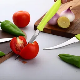 drumstone Stainless Steel Fruit Knife image 1