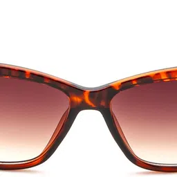 irus UV Protection Wayfarer Sunglasses (55) image 2