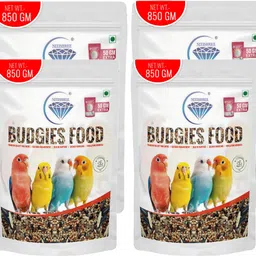 Premium Budgie Seed Mix with200g Cattle Bone Powder Bird Food for Healthy Growth Nuts 4.8 kg (4x1.2 kg) Dry New Born, Adult, Young, Senior Bird Food-image-7