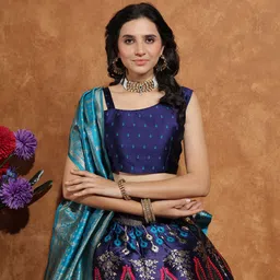 apnisha Self Design Semi Stitched Lehenga Choli image 5