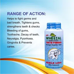 wheezal HEKLA LAVA TOOTH POWDER PACK OF 3 image 2