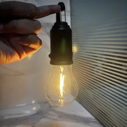 amn 9 W Basic Globe A19 Bug Light Bulb image 2