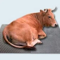 lcarno Cow Mat, Mat for Cow, Buffalo, Bull,Horse, Rubber Mat for All Animal 12 mm Cow, Dog, Hamster, Guinea Pig, Miniature Pig Pet Mat image 1