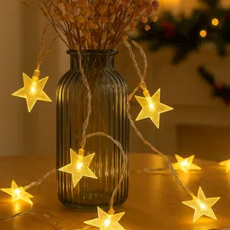 homesake 20 LEDs 5 m White Steady Star Rice Lights-picture-44