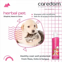 caredom Herbal Pet Puppy and Kitten Shampoo With Organic Sitaphal, Neem & Clove Extracts - Flea and Tick, Anti-fungal, Allergy Relief Neem Dog Shampoo image 2