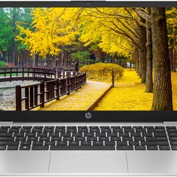 HP 240 G10 Backlit + FingerPrint (2025) Professional Intel Core i5 13th Gen 1335U - (32 GB/512 GB SSD/Windows 11 Home) 240 G10 Thin and Light Laptop-picture-18