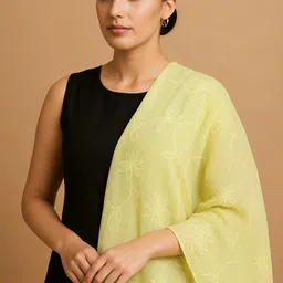 oisin Cotton Blend Embroidered Light Green Women Dupatta-picture-36