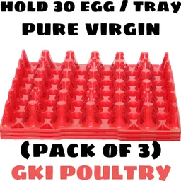 gki poultry Egg holder Egg Holder image 3