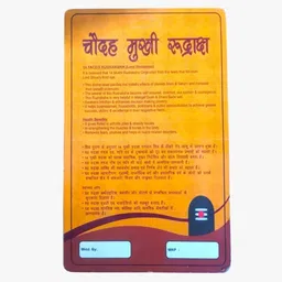 house of common 14 Mukhi Nepali Rudraksha Fourteen Faced Rudraksha With Lab Test Certificate Sterling Silver Wood image 2