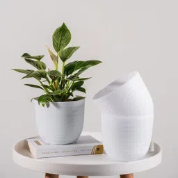 3 Beautiful Wave Matte Finish planters flower plant pots gamla gardening Plant Container Set-image-47