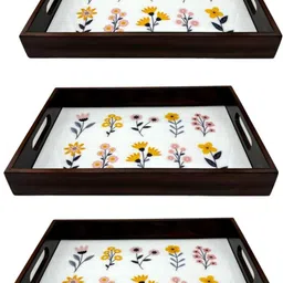 angira handicrafts AHS-T0830 Tray-picture-32