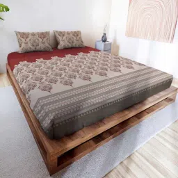 mayfair homes london Red Traditional 144 TC Cotton King Sized Double Bedsheet with 2 Pillow Covers Rushmoor SS23 Collection-picture-31