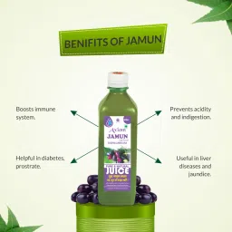 Axiom Jamun Juice, Helpful in Diabetes, Immunity Booster - 500ML (Pack of 2) image 3