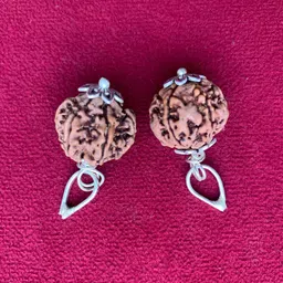 rudraksham 6 Mukhi Nepali Rudraksha Pendant With Certificate Of Authenticity (Set of 2) Silver Brass Locket Set-picture-22