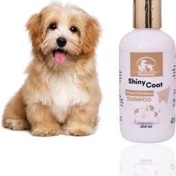 pettivo Shiny Coat Shampoo Whitening and Color Enhancing Coco Fragrance Dog Shampoo-picture-22
