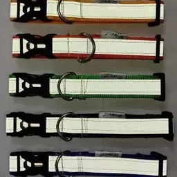nayanar Dog & Cat Everyday Collar image 2