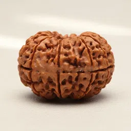 sugandhim astro HariHara-25-Mukhi-Rudraksha Wood Pendant image 1
