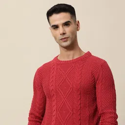 mr bowerbird Men Solid Round Neck Red Sweater image 3