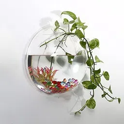 savorade Wall Mount Acrylic Fish Aquarium Bowl Tank for Small Betta Fish & Plants aqua_09 Round Ends Aquarium Tank-picture-13