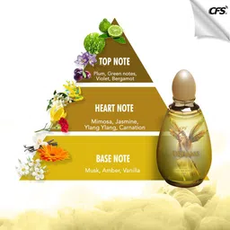 cfs Dreams Perf 100ml with 21 Ice water Pocket Perf 20ml Perfume - 120 ml image 2