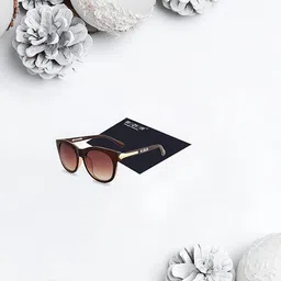 rozior Women Sunglass with UV 400 Protection HD Lens image 4