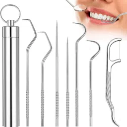 scabiosa Professional Stainless Steel Teeth Cleaning Tool Kit-picture-10