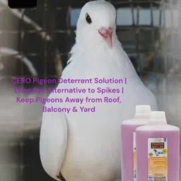 CERO New Herbal Pigeon Repellent for Balcony, Yard, Roof, Repel and Repulse, Unique Water Based Formulation, Better Than Anti Pigeon Spikes, Spray on Floor and Wall Where Bird Sit- 1Ltr image 5