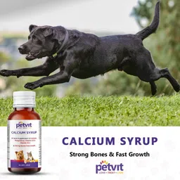 petvit Calcium Syrup with Calcium, Phosphorus, Vitamin D3 & B12 For Dog Stronger Bones, Teeth & Growth in Pet For All Age Group – 100ml Pet Health Supplements image 5