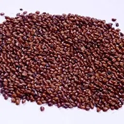 naturalagrocare Red Napier Grass Seeds, High Yield Multi Cut Grass Seed-picture-16