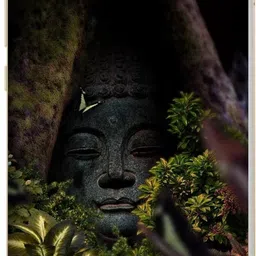 SKINADDA Mi Max 2 Premium Vinyl Mobile Skin-picture-31