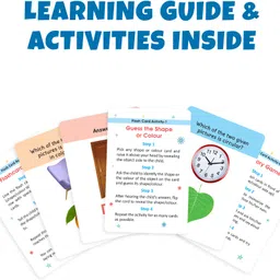 little berry My First Flash Cards for Kids (Set of 6): Learning & Educational Toy - 216 Cards image 5